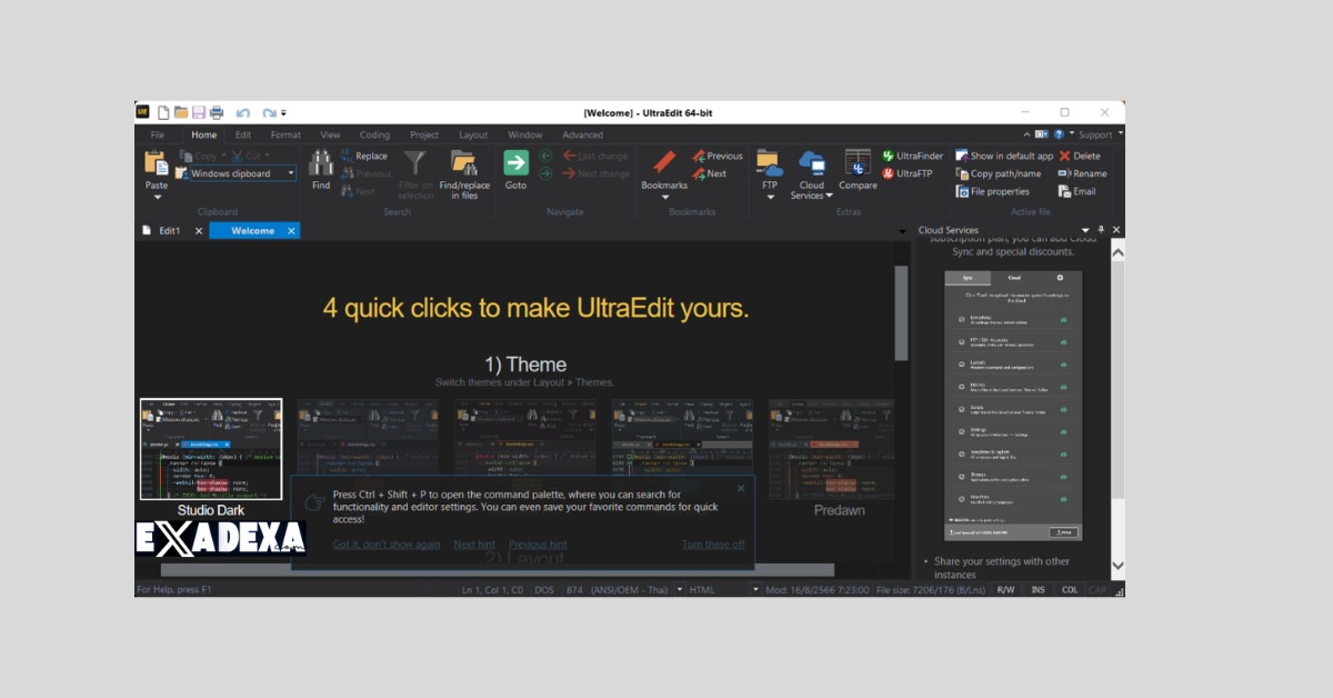 UltraEdit 31.3.0.8 free