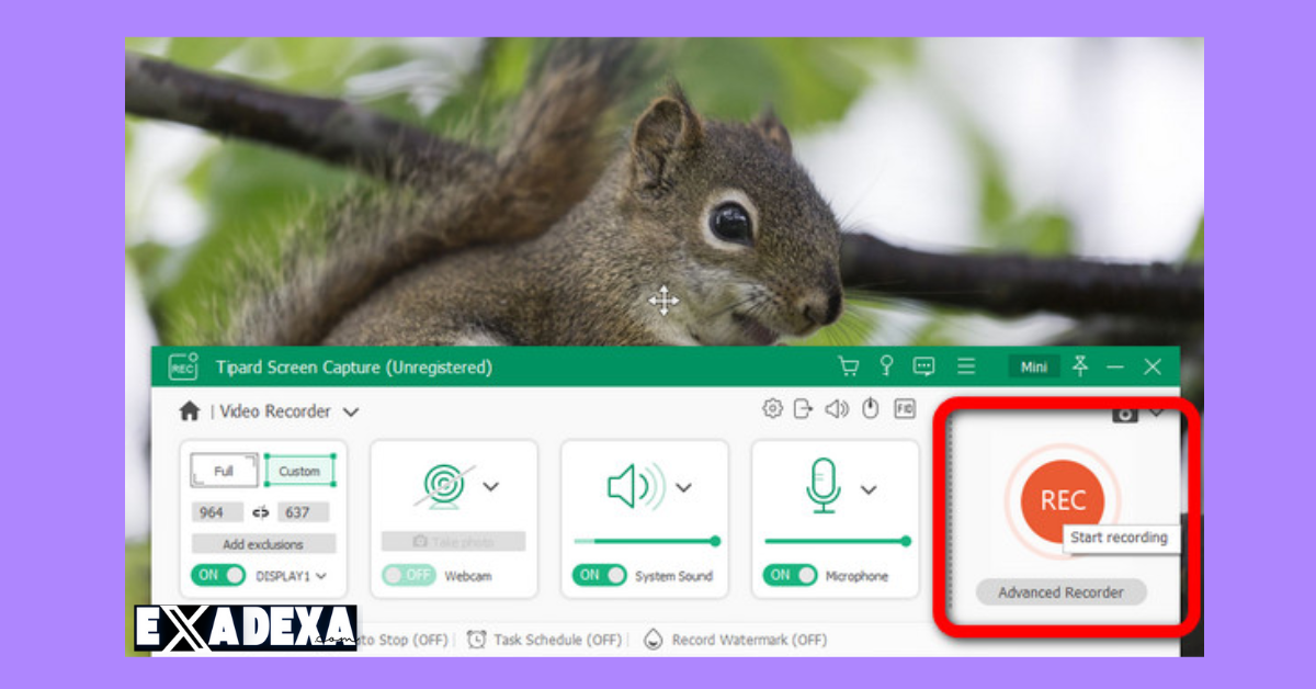 Tipard Screen Capture 2025 free