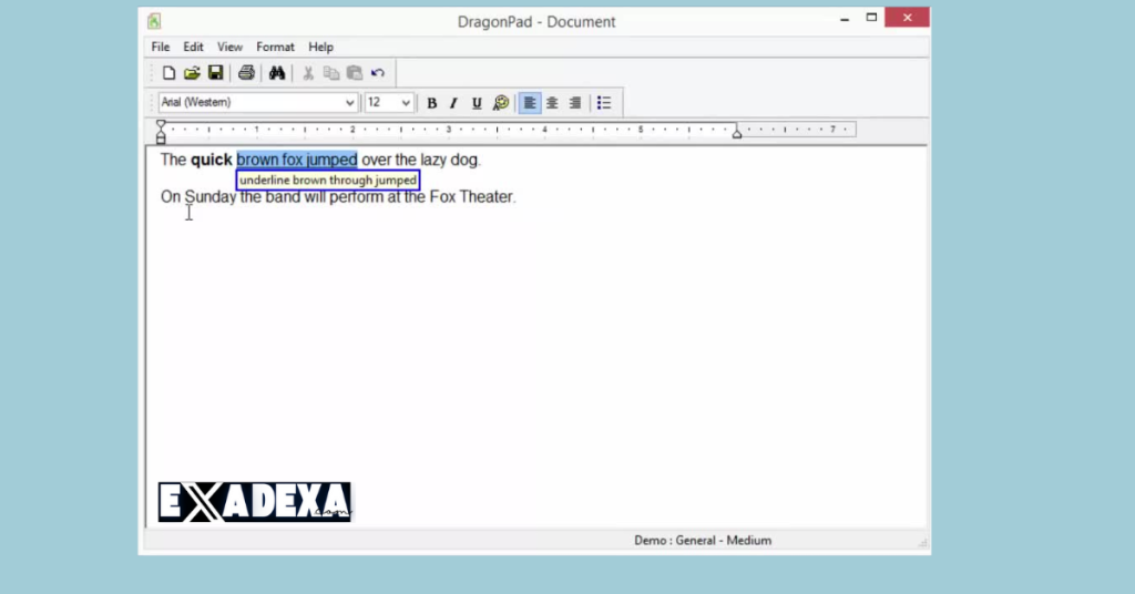 Nuance Dragon Professional