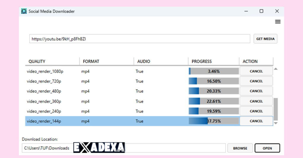 Social Media Downloader